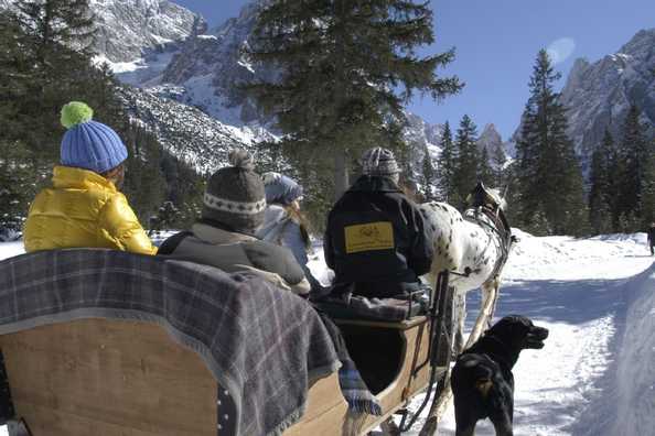 Horse sleigh in Alta Pusteria in South Tyrol
