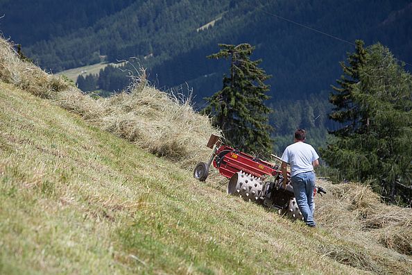 Relaxation of the mind by helping out on the farm